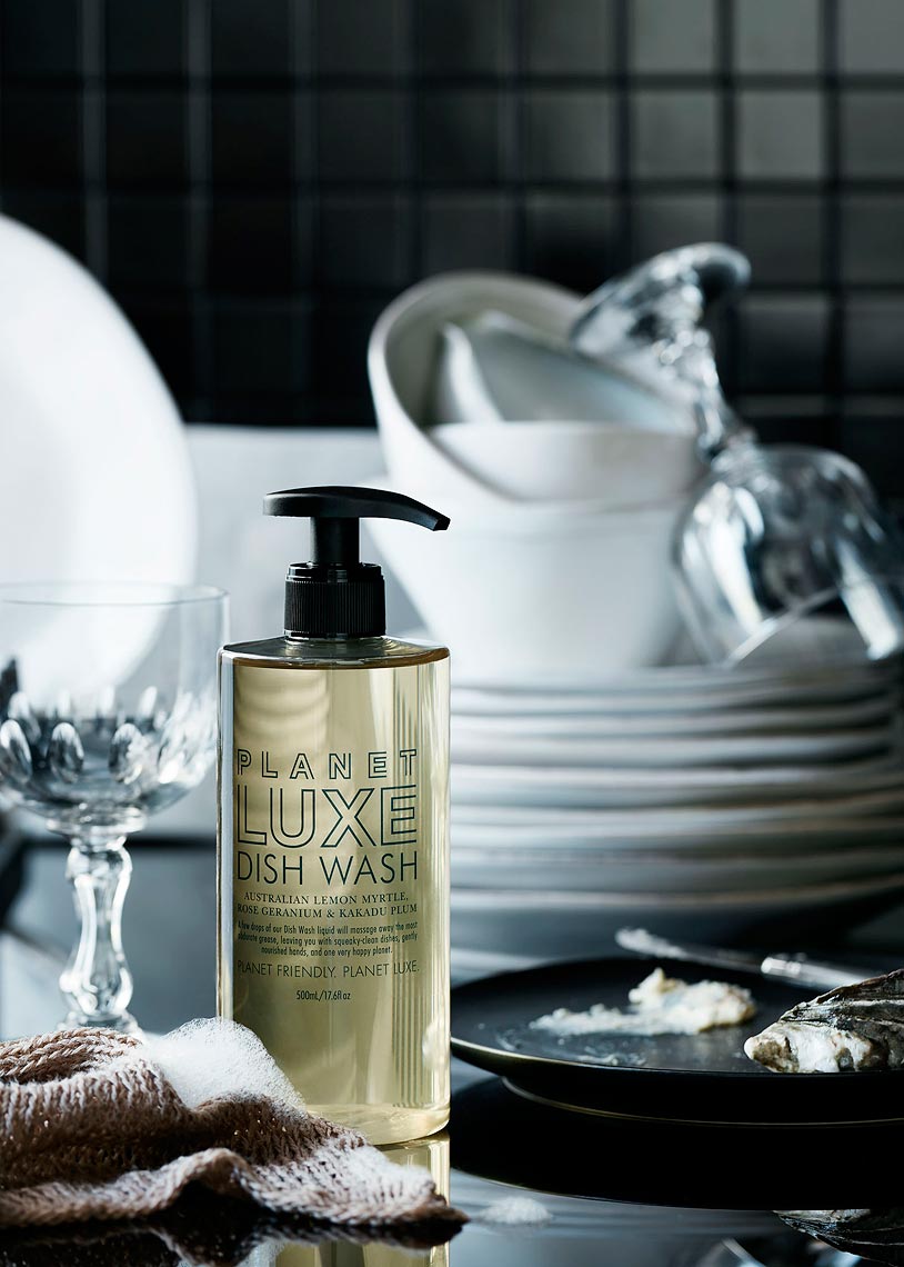 Planet-Luxe-2015_Dishwash_062